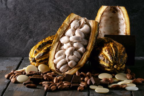 Cacao fruit, cacao beans, cacao pulp, chocolate displaying on a wooden table