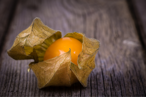 Close-up golden berry fruit