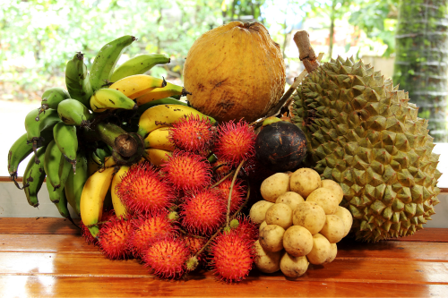 7 Facts about why you should eat Tropical fruits daily 3