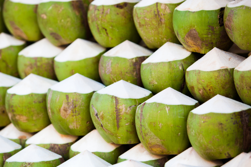 Green young coconuts