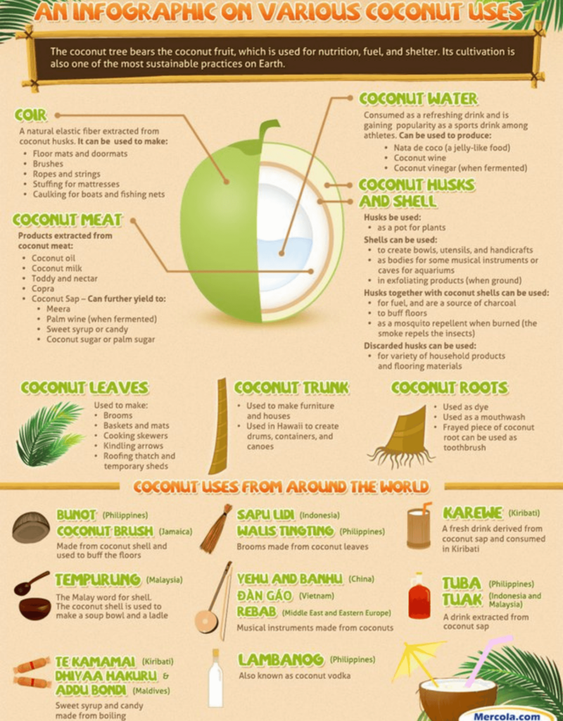 Infographic about what to do with fresh coconuts