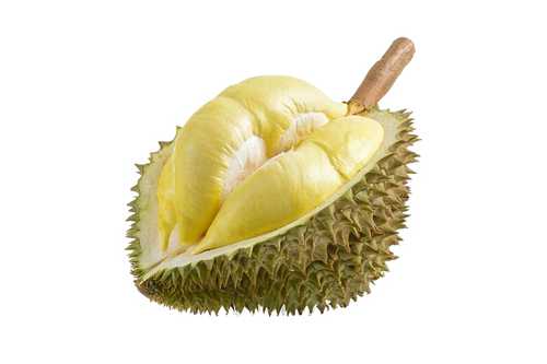 Durian fruit with white background, tropical fruit