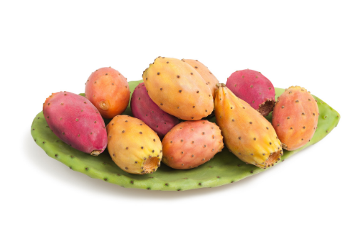 Prickly pear on a cactus leaf with white background, tropical fruit