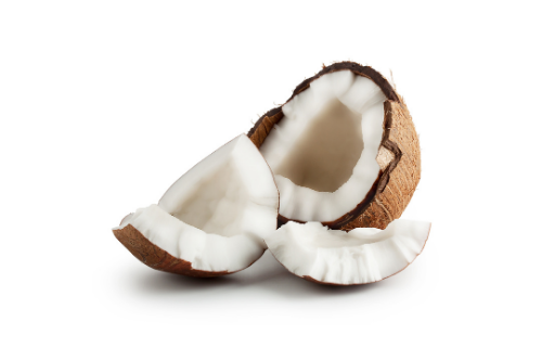 Coconut with white background, tropical fruit