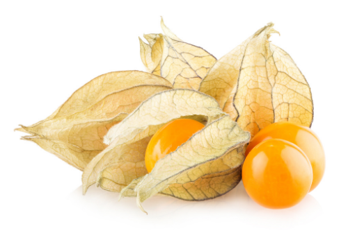 Golden berry with white background, tropical fruit