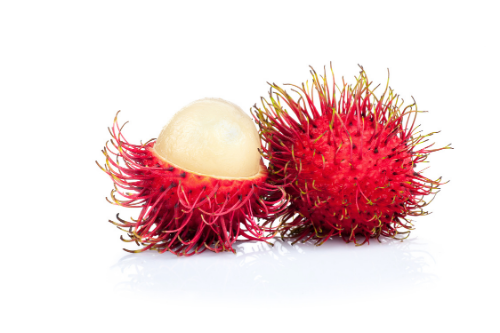 Rambutan fruit with white background, tropical fruit